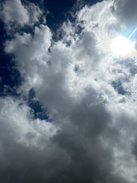 Lil_nicker, 19, Mauritius