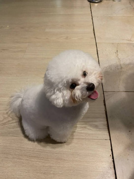 Olivia, 30, Netherlands