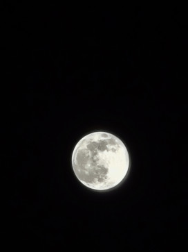 Shaikh Adil, 18, India