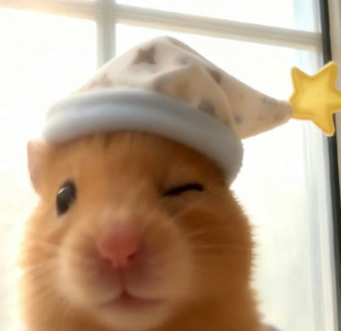 Aastha Sharma, 99, India