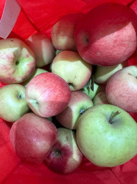 Xypher Dee, 23, Philippines