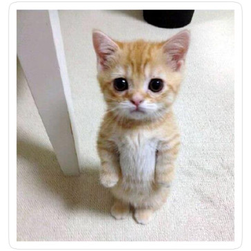 Maixxi Qwerty, 25, Philippines