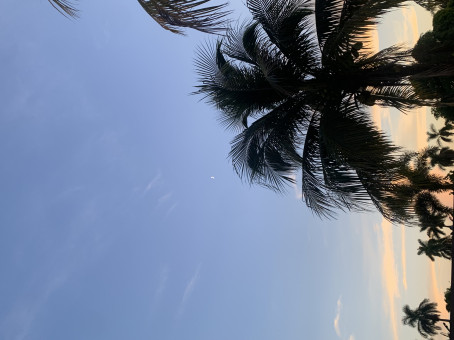 Alex Perez, 18, United States