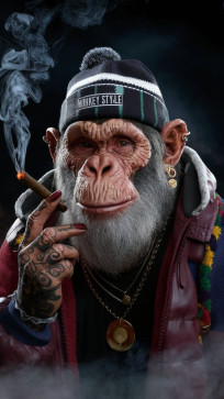 MUHAMMAD TALIM, 22, India