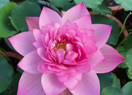 Shyam Anand, 19, India