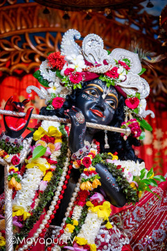 Rajachakraborty, 34, India