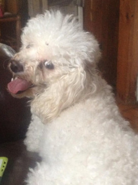 Just_the_worst, 27, United States