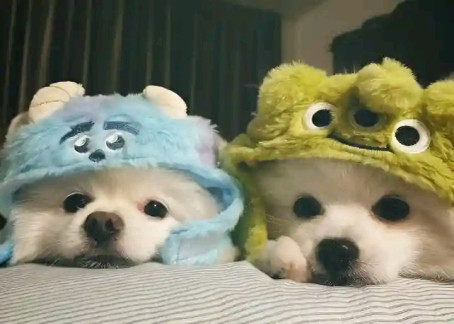 Aravella Ylagan, 20, United States