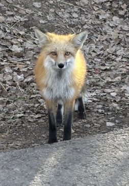 Oscar, 26, United States