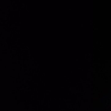 Technical Boyz, 21, India