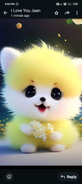 Ankit Kumar, 20, India