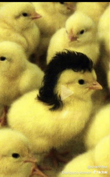 Zaini Fitri, 18, Malaysia