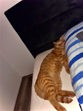 Filip Jiraacutek, 18, Czech Republic