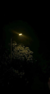 Babai Dey, 18, India