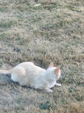 John, 24, United States