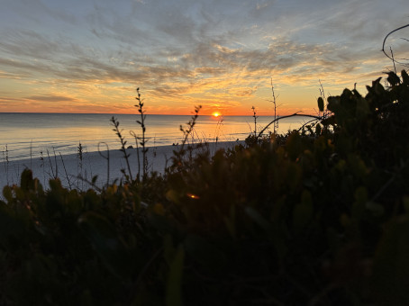 Noah M 27, 27, United States