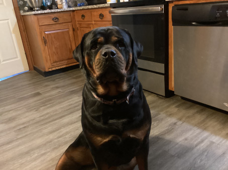 Aliana Davis, 18, United States