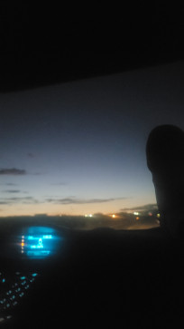 Insomniac, 22, United States