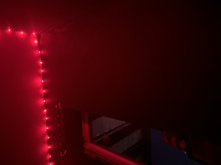 The Brit, 20, United Kingdom