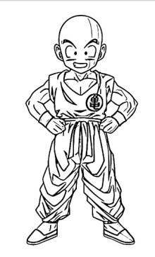 Bhavesh Raj, 18, India