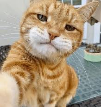 DontgimmeAheadache, 23, United Kingdom