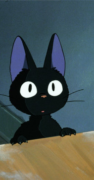 _rahmankhann, 18, India