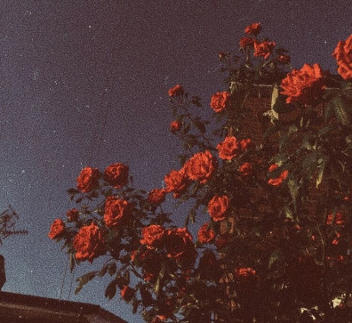 Mariamluvs, 20, United States