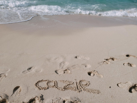 TheCaroline Banfield, 40, France