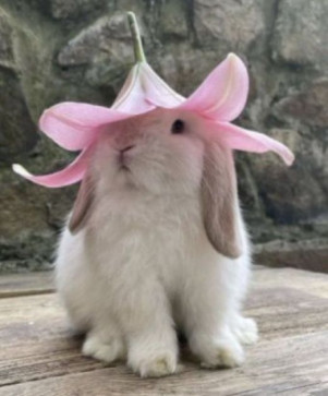 Aastha Chut Chatora, 21, India