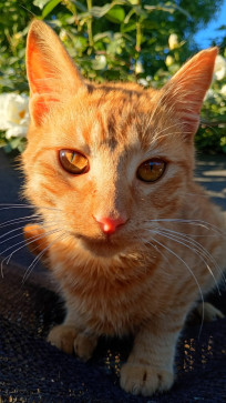 Dani Morel, 18, Argentina