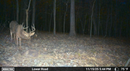 Aiden, 21, United States