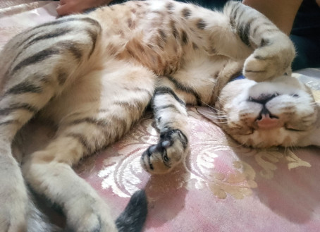 Aastha Saini, 19, India