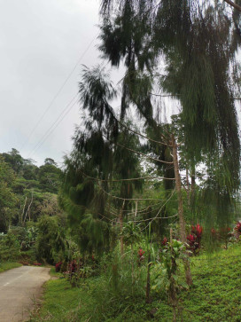 WAHAHAHA Hahaha, 23, Philippines