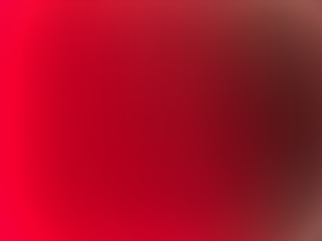 Japjot Singh, 18, India