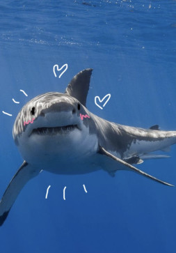 AthleticWithaRlly, 22, United States