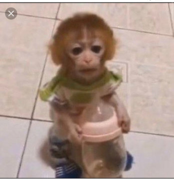 Tofuu, 28, Indonesia