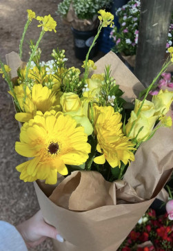 I039m A  Loyal Gi, 39, Philippines