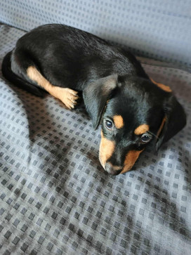 Anon Anon, 18, Philippines