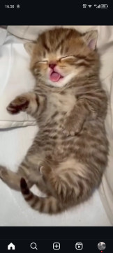 Grow Up, 19, Indonesia