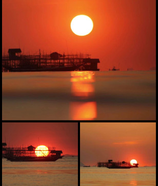 Alle, 41, Saudi Arabia