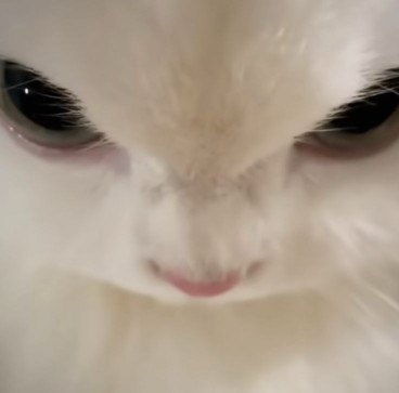 Seijiii4574, 23, Philippines