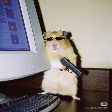 Actually HOOTT, 24, India