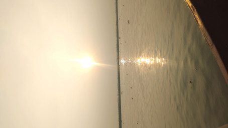 Kabir Khan, 23, United States