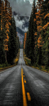 26M South Indian, 26, India