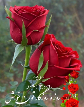 Yaghi, 52, United Arab Emirates