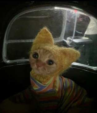 Marmalade, 18, Canada