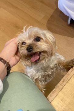 Pinky, 36, United States