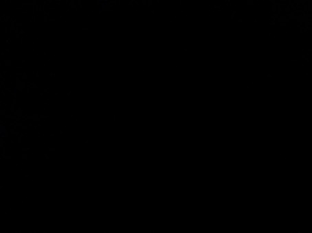 Andrew Sandoval, 18, United States