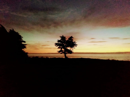 Rafael Madrid Badill, 36, Sweden