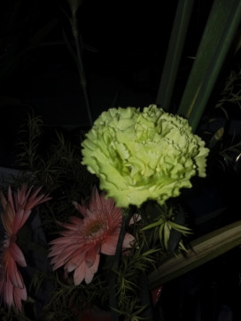 Jemicah Galino, 22, Philippines